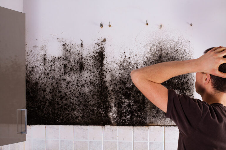 A Proper Approach to Cleaning Mold in Your Home: Understanding Health Hazards and Safe Practices